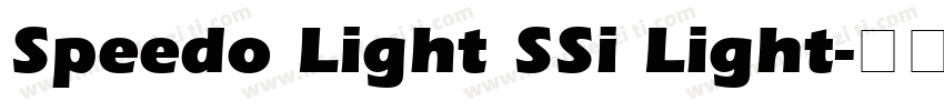 Speedo Light SSi Light字体转换